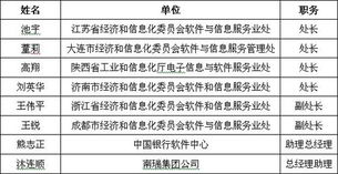 軟件外包行業(yè)聚力發(fā)展，第四屆中國軟件與信息服務(wù)外包年會(huì)成功舉辦